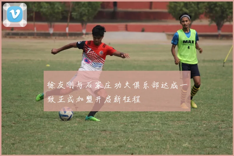 徐友刚与石家庄功夫俱乐部达成一致正式加盟开启新征程