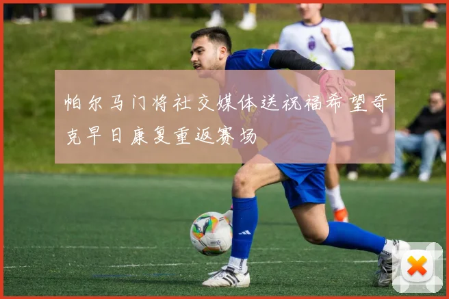 帕尔马门将社交媒体送祝福希望奇克早日康复重返赛场